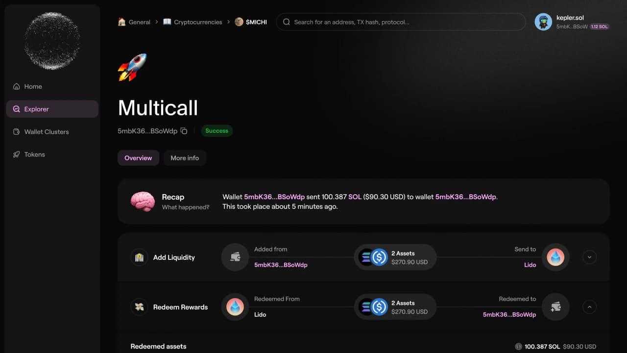 Terrain multicall overview translating wallet activity into named actions and a plain-language recap.